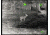 Bering Optics Prodigy 348 1.0x25 Thermal Monocular W/2x-4x Digital Zoom and Wi-Fi , 348x256, Black, BE43125