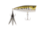 Berkley Bullet Pop Hard Bait, Size 70, 2.75in, Baby Bass, 70, 1487173