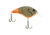 Berkley Clickinft Frittside Hard Bait, Crankbait, 5 Junior, 1/4oz, 2in / 5cm, 2ft-5ft / 0.5-1.5m, Hook Size 7, 2 Hooks, Firetail Green Craw, 5 Junior, 1569987
