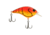 Berkley Clickinft Frittside Hard Bait, Crankbait, 5 Junior, 1/4oz, 2in / 5cm, 2ft-5ft / 0.5-1.5m, Hook Size 7, 2 Hooks, Red Spring Craw, 5 Junior, 1569993