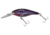 Berkley Flicker Shad Crankbait, Flashy Purple Tiger, 7, 1290501