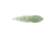 Berkley Gulp! Alive! Tadpole Soft Bait, Chive, 1618538