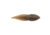 Berkley Gulp! Alive! Tadpole Soft Bait, Smog, 1618549