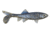 Berkley Havoc Sick Fish Bait, 3in., Disco Shad 178375