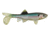 Berkley Havoc Sick Fish Bait, 3in., Ghost Minnow 178376