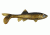 Berkley Havoc Sick Fish Bait, 3in., Gold Nugget 178377