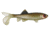 Berkley Havoc Sick Fish Bait, 3in., Green Penny 178378