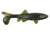 Berkley Havoc Sick Fish Bait, 3in., Green Pumpkin 178379