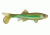 Berkley Havoc Sick Fish Bait, 3in., Light Hitch 178380