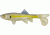 Berkley Havoc Sick Fish Bait, 4in., Chartreuse Shad 178329