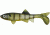 Berkley Havoc Sick Fish Bait, 4in., Clear Bream 178330