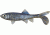 Berkley Havoc Sick Fish Bait, 4in., Disco Shad 178328