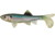 Berkley Havoc Sick Fish Bait, 4in., Ghost Minnow 178331