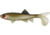 Berkley Havoc Sick Fish Bait, 4in., Green Penny 178333