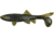 Berkley Havoc Sick Fish Bait, 4in., Green Pumpkin 178334