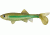 Berkley Havoc Sick Fish Bait, 4in., Light Hitch 178335