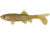 Berkley Havoc Sick Fish Bait, 4in., Swamp Gas 178336