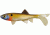 Berkley Havoc Sick Fish Bait, 4in., Tennessee Shad 178337
