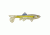 Berkley Havoc Sick Fish Bait, 5.5in., Chartreuse Shad 178383