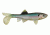 Berkley Havoc Sick Fish Bait, 5.5in., Ghost Minnow 178386