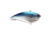 Berkley Jack Hard Baits, Blue Chrome, 7, 1624116