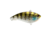 Berkley Jack Hard Baits, Ghost Chrome Gill, 7, 1624122