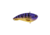 Berkley Jack Hard Baits, Viking Perch, 6, 1624111
