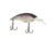 Berkley Money Badger Hard Bait, Crankbait, Northern Lights, 4, 1572471