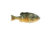 Berkley PowerBait Gilly Soft Bait, HD Pumpkinseed, 130, 1546077