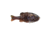 Berkley PowerBait Gilly Soft Bait, HD Warmouth, 110, 1546066