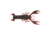 Berkley PowerBait MaxScent Lilft Trooper Soft Bait, 2 1/2in, 8 Pack, Hot Craw, 1520674