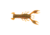 Berkley PowerBait MaxScent Lilft Trooper Soft Bait, 2 1/2in, 8 Pack, Watermelon Copper/Orange w/Red, 1520666
