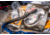 Berkley PowerBait Power Worms Soft Bait, 10in, 8 Pack, Motor Oil Red Fleck, 1307524