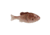 Berkley PowerBait Saltwater Gilly Soft Bait, HD Croaker, 110, 1573102