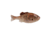 Berkley PowerBait Saltwater Gilly Soft Bait, HD Croaker, 90, 1573098