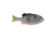 Berkley PowerBait Saltwater Gilly Soft Bait, HD Menhaden, 130, 1573104