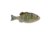 Berkley PowerBait Saltwater Gilly Soft Bait, Pinfish, 110, 1573101
