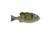 Berkley PowerBait Saltwater Gilly Soft Bait, Pinfish, 130, 1573105