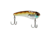 Berkley ThinFisher Hard Baits, 1.75in, Ghost Bluegill, 1595009
