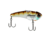 Berkley ThinFisher Hard Baits, 2.25in, Ghost Bluegill, 1595023