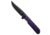 Bestechman Bestechman Mini Dundee Double Detent Knife Purple G-10 2.9" Black, Purple, D2, adult, BHQ-200631