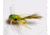 Betts Frugal Frog