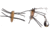 Betts Spin Grunts Grub Lure, Cricket/White Legs, 1/32oz, 1in, 021GRRL-50N