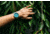Bia Rosie Dive Watches, Light Blue Dial, Solid Link Bracelet, Steel, One Size, B2005