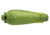 Big Agnes Sarvis Sl 20, 650 Downtek Sleeping Bag, Green, Regular, BTMSSL20RL20