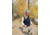 Big Agnes Take A Peak Twill Trucker, Navy, One Size, AHPEAK-NVY-OS