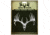 Big Rack Emblem, Whitetail, Skull 2Pk, Bgr VEM2006