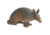 BIGshot Pro Hunter Armadillo Target, Brown, 3D950