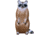 BIGshot Big Shot Pro Hunter Raccoon Target