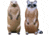 Bigshot Big Shot Targets Pro Hunter Racoon &amp; Groundhog Combo Pack